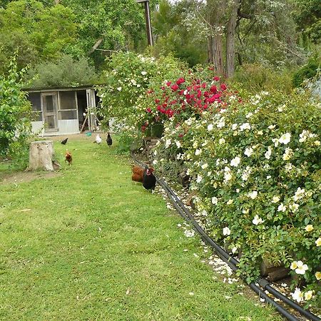 Camawald Coonawarra Cottage B&B Rum bild